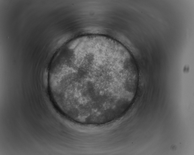 X0000102040014200808081846