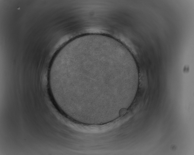 X0000102040015200808081846