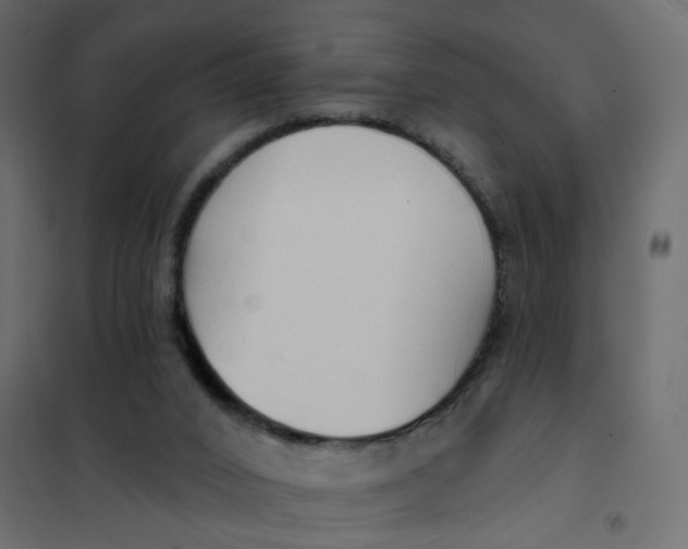 X0000102040016200808081846