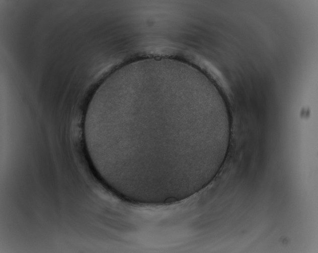 X0000102040017200808081845