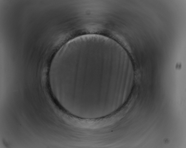 X0000102040018200808081845