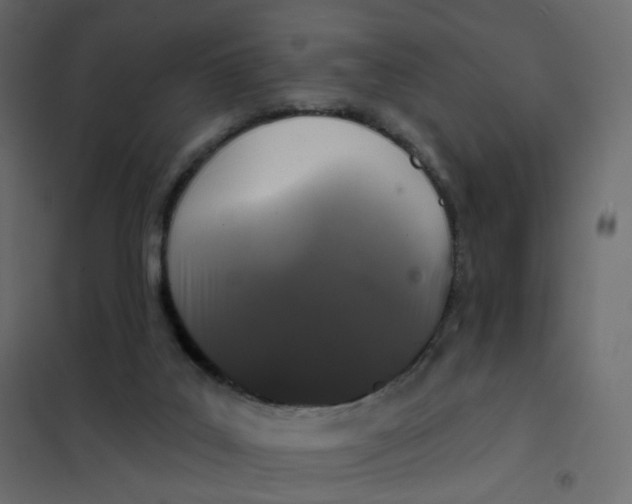 X0000102040019200808081845