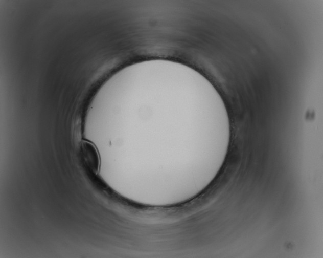 X0000102040020200808081845