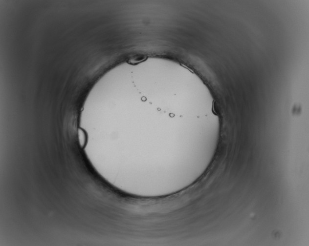 X0000102040021200808081845