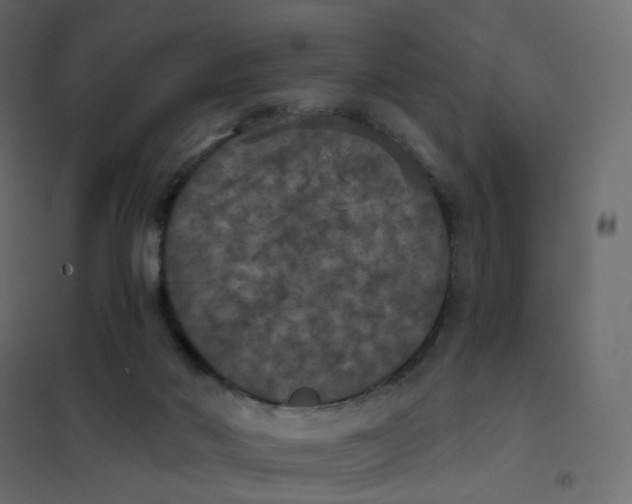 X0000102040022200808081845