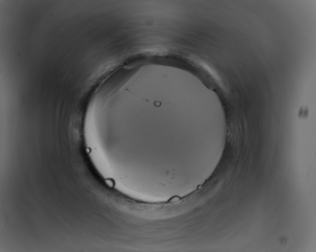 X0000102040023200808081845