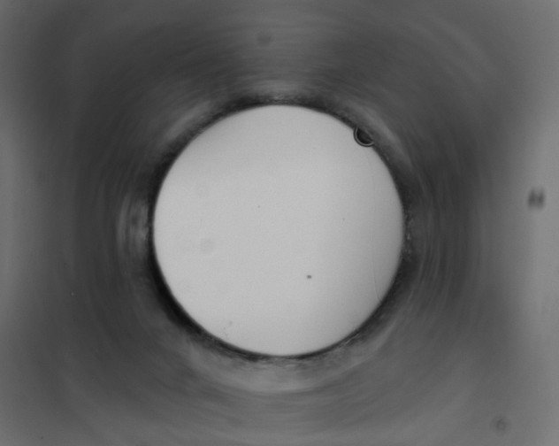 X0000102040024200808081845