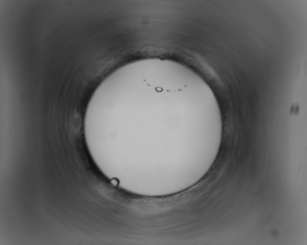 X0000102040025200808081845