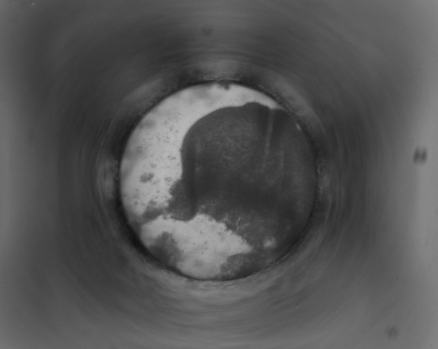 X0000102040026200808081845