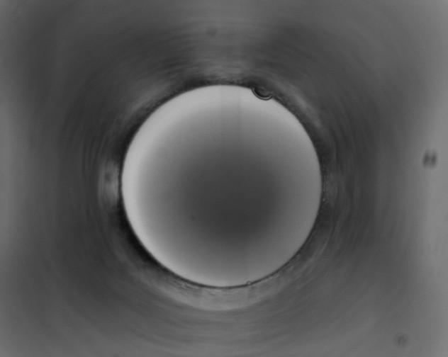 X0000102040027200808081845