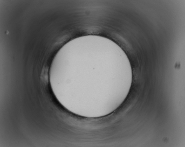 X0000102040028200808081845