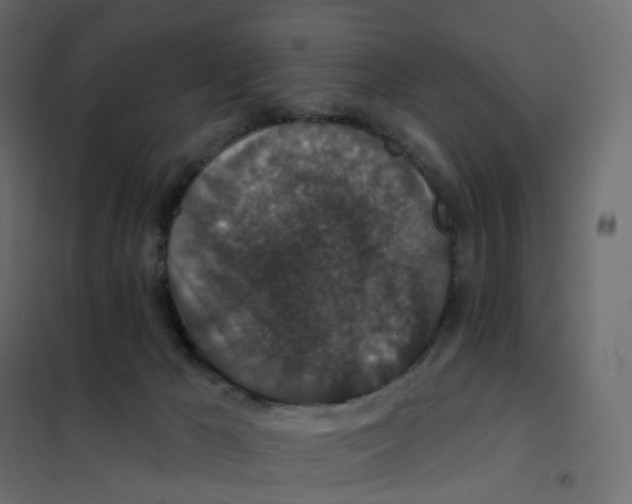 X0000102040029200808081845