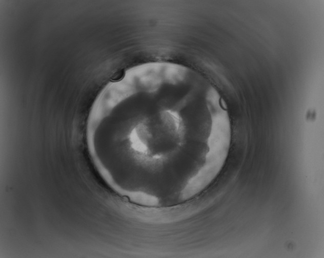 X0000102040030200808081845