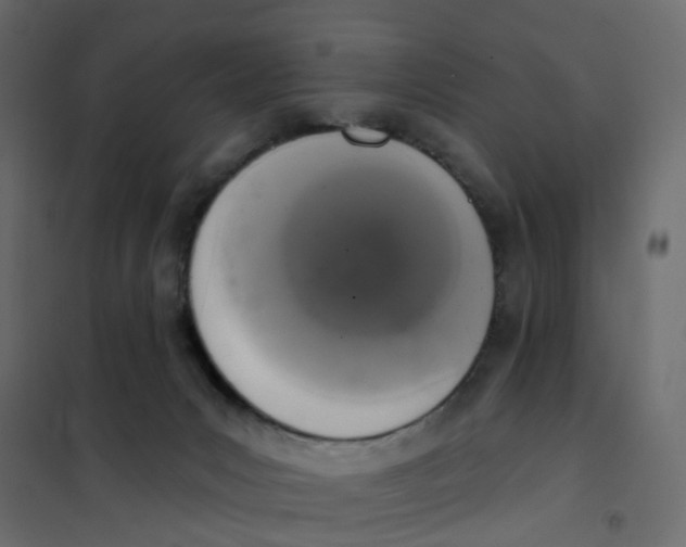 X0000102040031200808081845