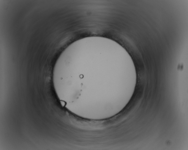 X0000102040032200808081845