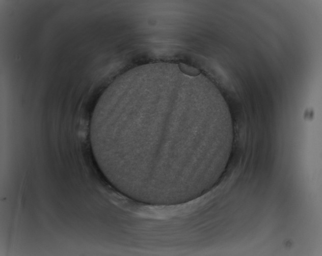 X0000102040033200808081845