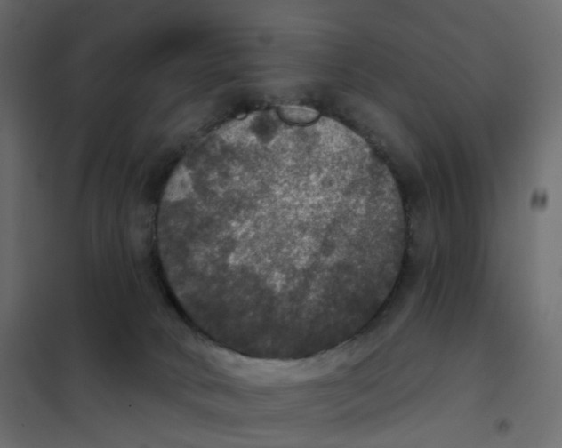 X0000102040034200808081845