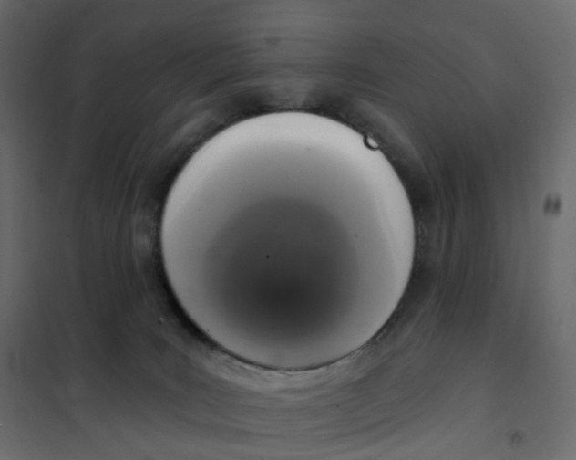 X0000102040035200808081845