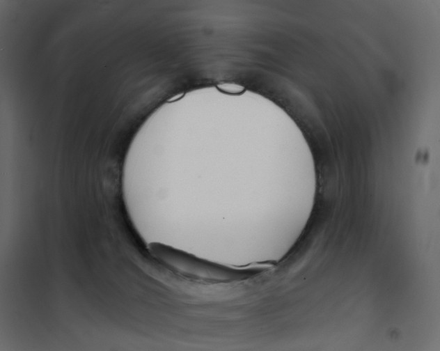 X0000102040036200808081845