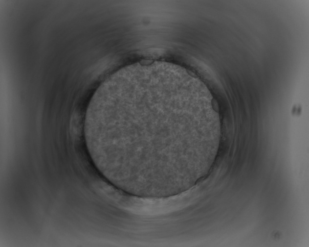 X0000102040037200808081845