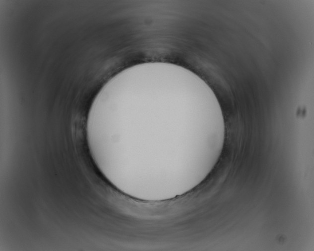 X0000102040038200808081845