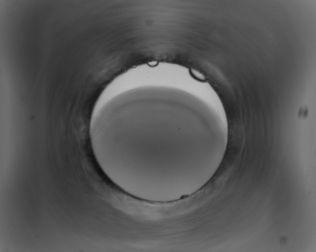 X0000102040039200808081845