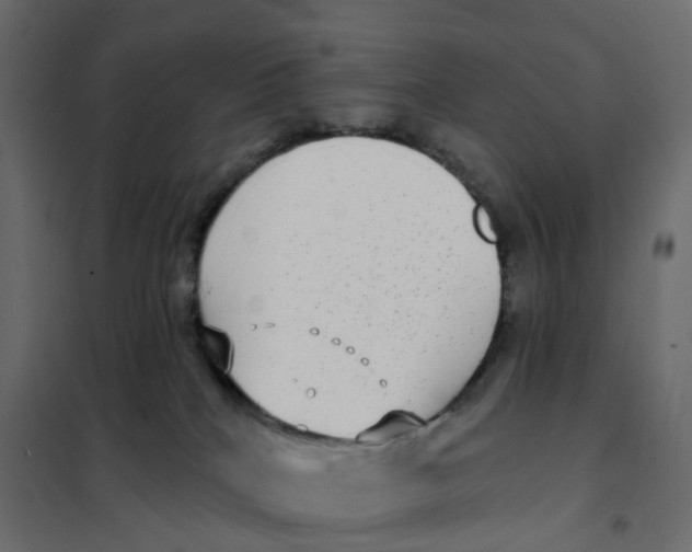 X0000102040040200808081845