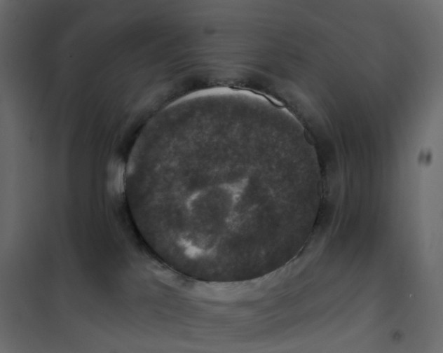 X0000102040041200808081845