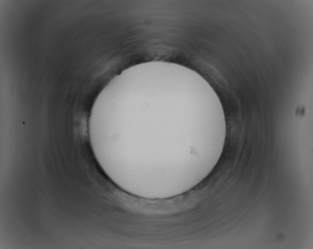 X0000102040042200808081845