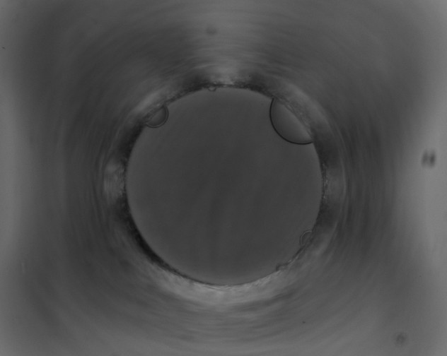 X0000102040043200808081845