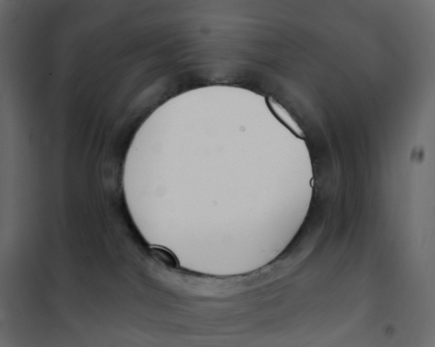 X0000102040044200808081845