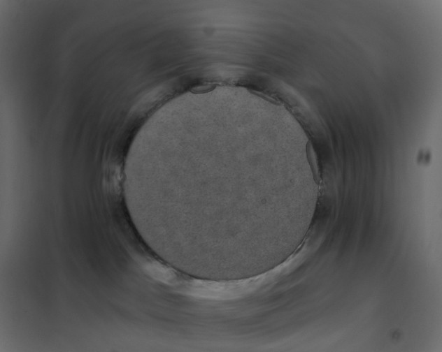 X0000102040045200808081845