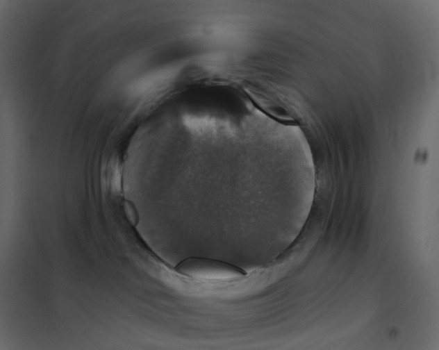 X0000102040046200808081845