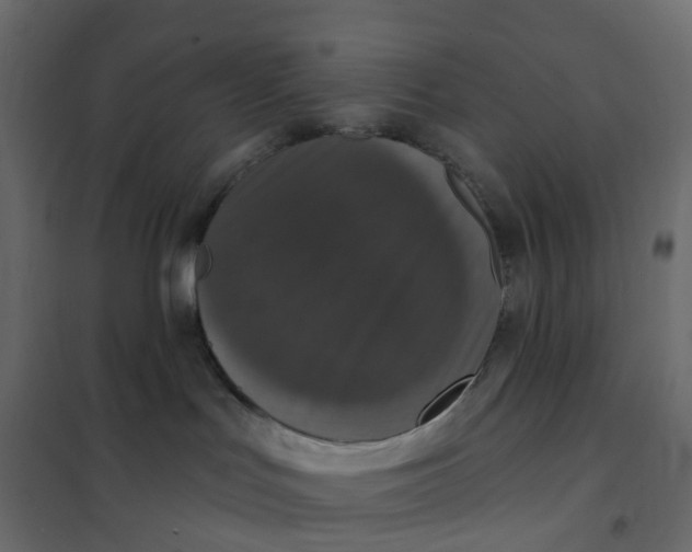 X0000102040047200808081845