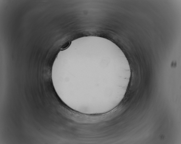 X0000102040048200808081845