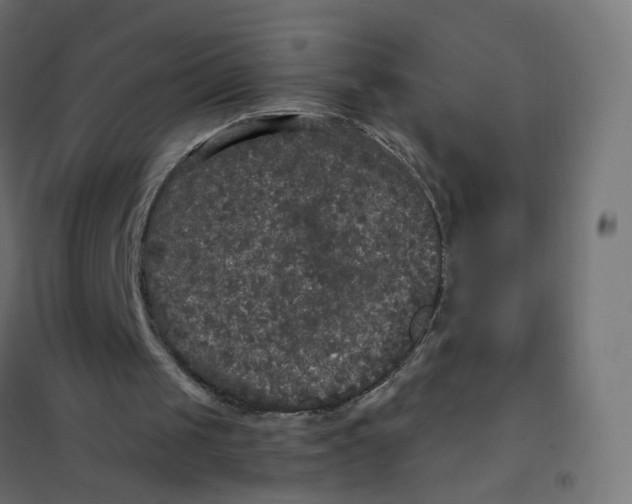 X0000102040049200808081844