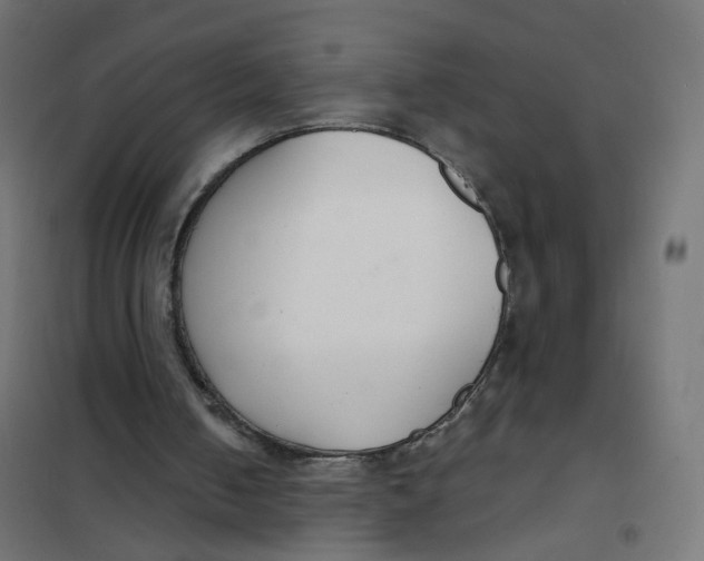 X0000102040050200808081844