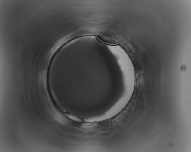 X0000102040051200808081844