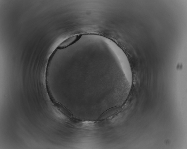 X0000102040052200808081844