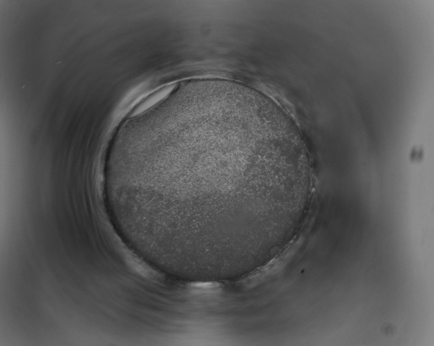 X0000102040053200808081844