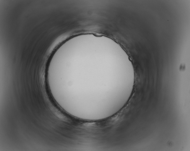 X0000102040054200808081844