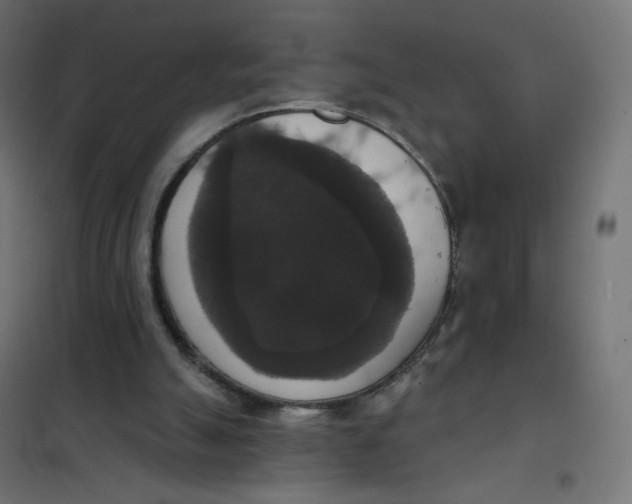 X0000102040055200808081844