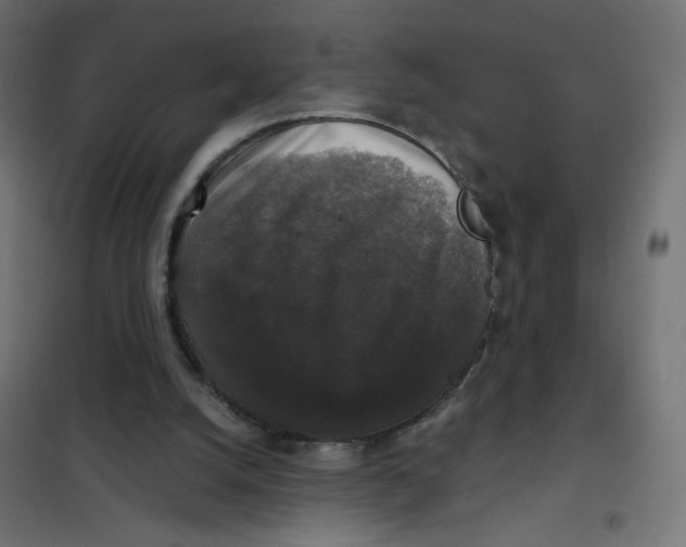 X0000102040056200808081844