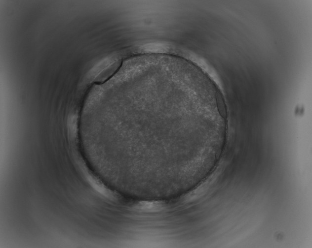 X0000102040057200808081844