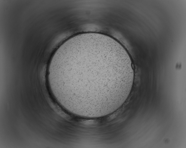 X0000102040058200808081844