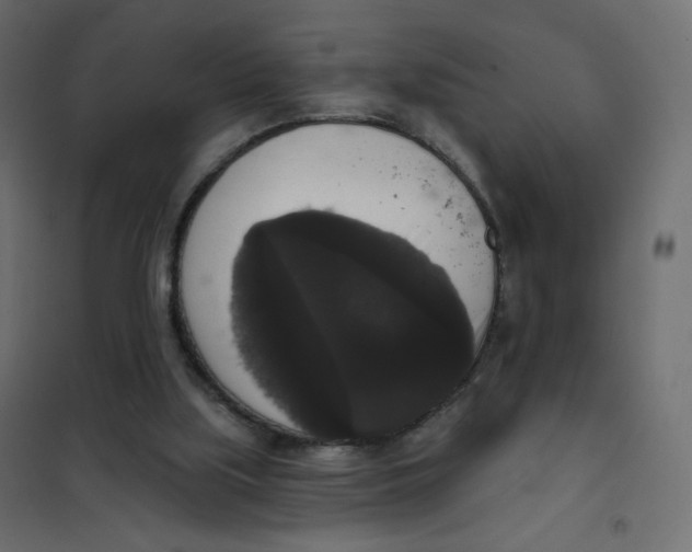 X0000102040059200808081844