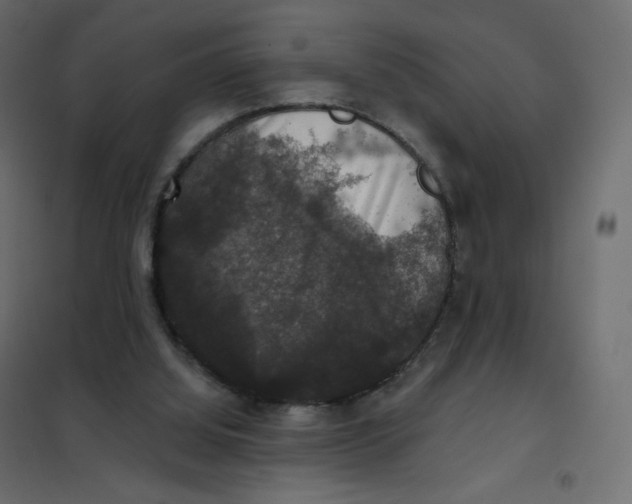 X0000102040060200808081844