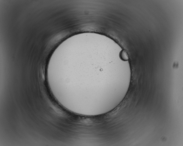 X0000102040062200808081844