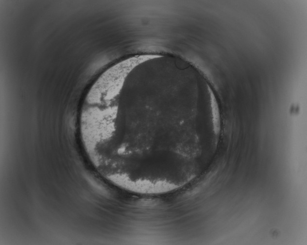 X0000102040063200808081844