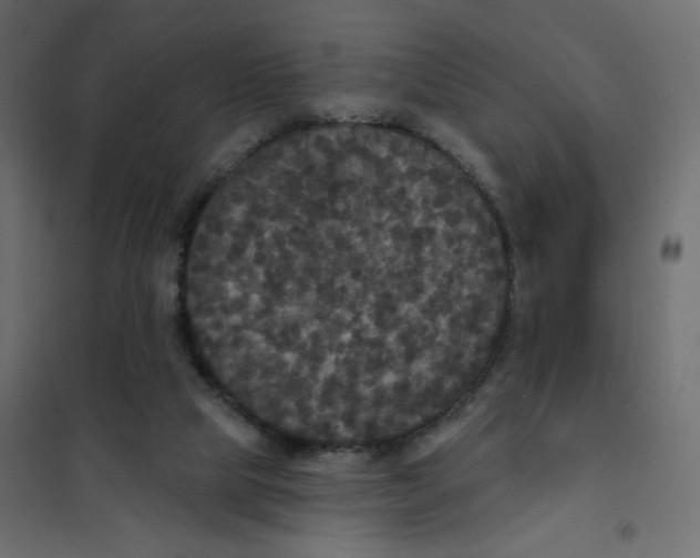 X0000102040065200808081844